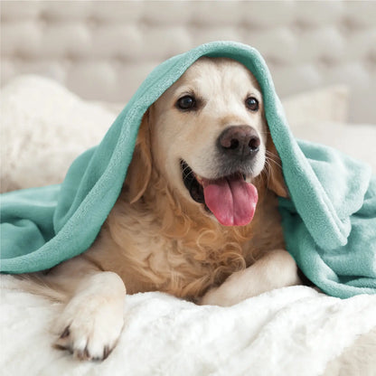 Luxe Flannel Fleece Throw Blanket – Plush Microfiber Throw for Couch, Sofa & Bed